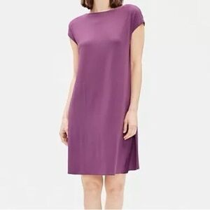 Eileen Fisher Curan Bateau Neck Dress L Large